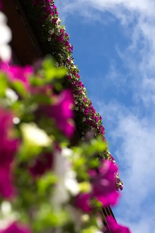 ****  Hotel Garni Roemerhof Ίνσμπρουκ Αυστρία